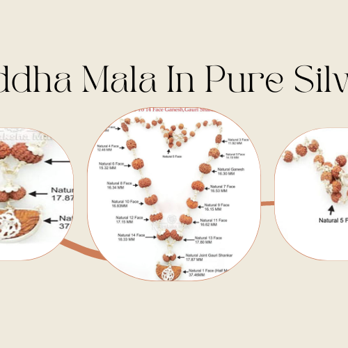 1 to 14 Mukhi Java Siddha Mala in Silver A Powerful Combination for Healing