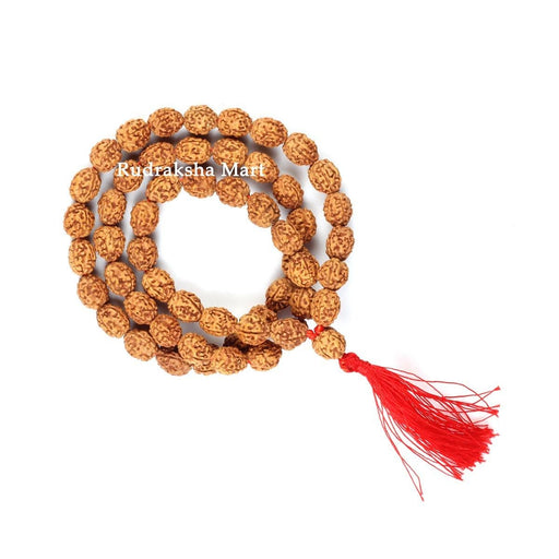 4 Mukhi Java Rudraksha Mala - 54 Beads in India, US, UK, Australia, Europe