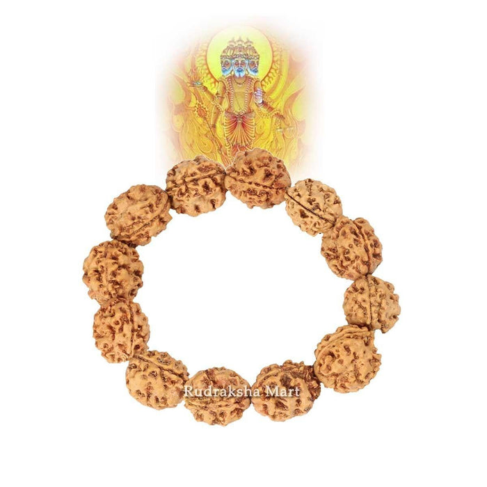 3 Mukhi Nepali Rudraksha Bracelet - Adjustable in India, US, UK, Australia, Europe
