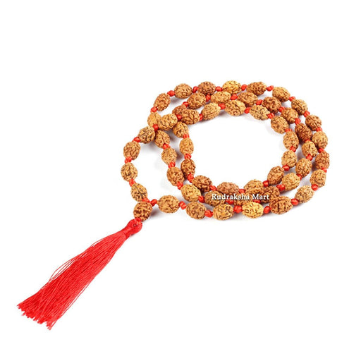 4 Mukhi Java Rudraksha Ganth Mala - 54 Beads in India, US, UK, Australia, Europe