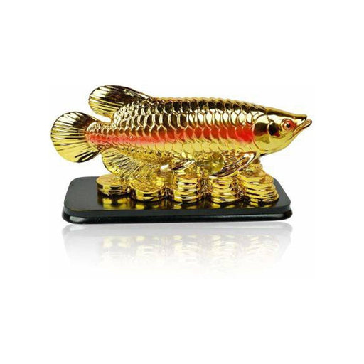 Feng Shui Fish with Coins for Career Luck and Education Luck in India, US, UK, Australia, Europe