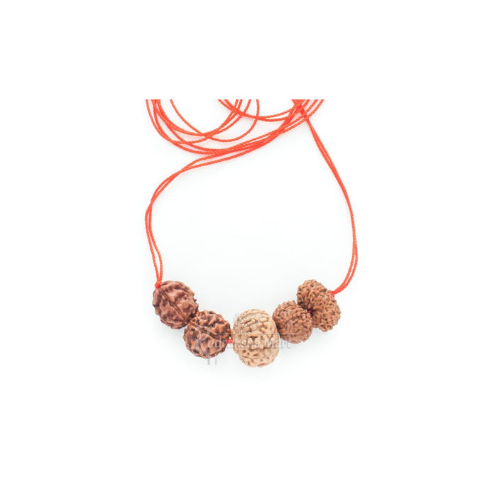 3, 5, 10, 11, 12 Mukhi Java Rudraksha Combination - Navagraha Shanti Mala Without 5 Mukhi Mala in India, US, UK, Australia, Europe