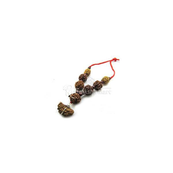 1 Indian to 7 Mukhi Nepali Sarva Karya Siddha Rudraksha Mala in India, US, UK, Australia, Europe