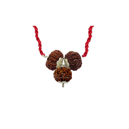 7,12,13 Mukhi Nepali Rudraksha Tri Combination - Business And Wealth Success Rudraksha Combination in India, US, UK, Australia, Europe