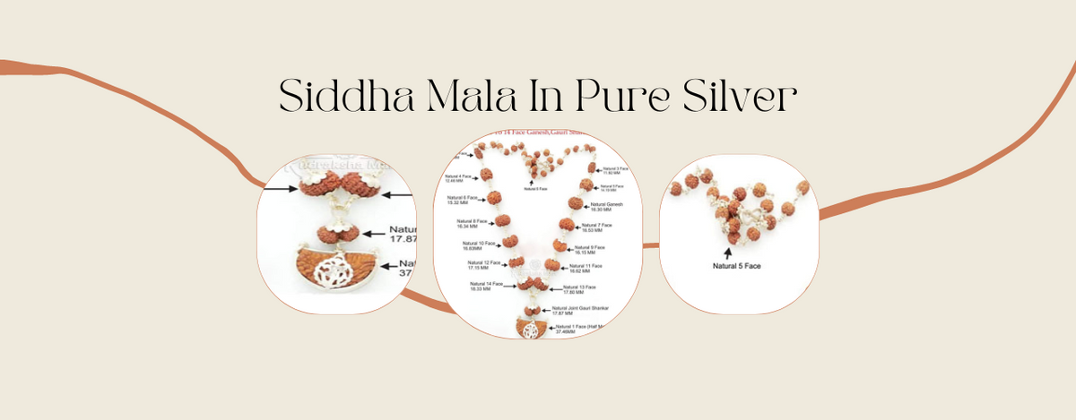 1 to 14 Mukhi Java Siddha Mala in Silver: A Powerful Combination for H ...