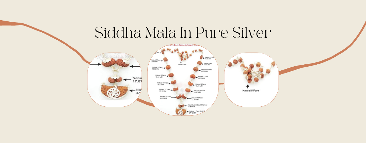 1 to 14 Mukhi Java Siddha Mala in Silver A Powerful Combination for Healing