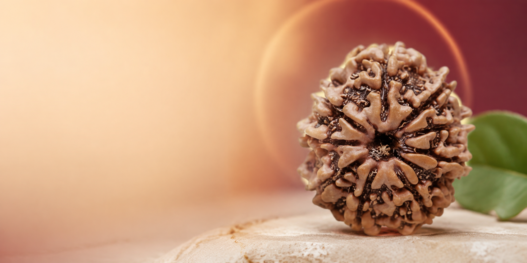 Understanding the Types and Importance of 9 Mukhi Rudraksha