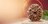 Understanding the Types and Importance of 9 Mukhi Rudraksha
