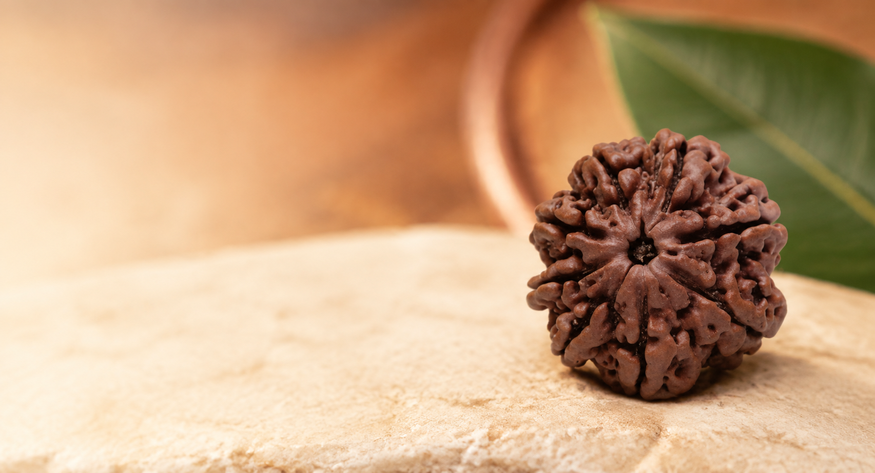 What are the Types of 8 Mukhi and Origin and Its Importance