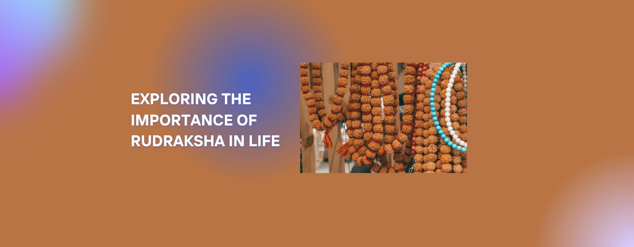 Exploring the Importance of Rudraksha in Life