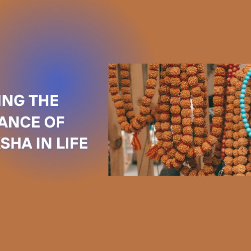 Exploring the Importance of Rudraksha in Life