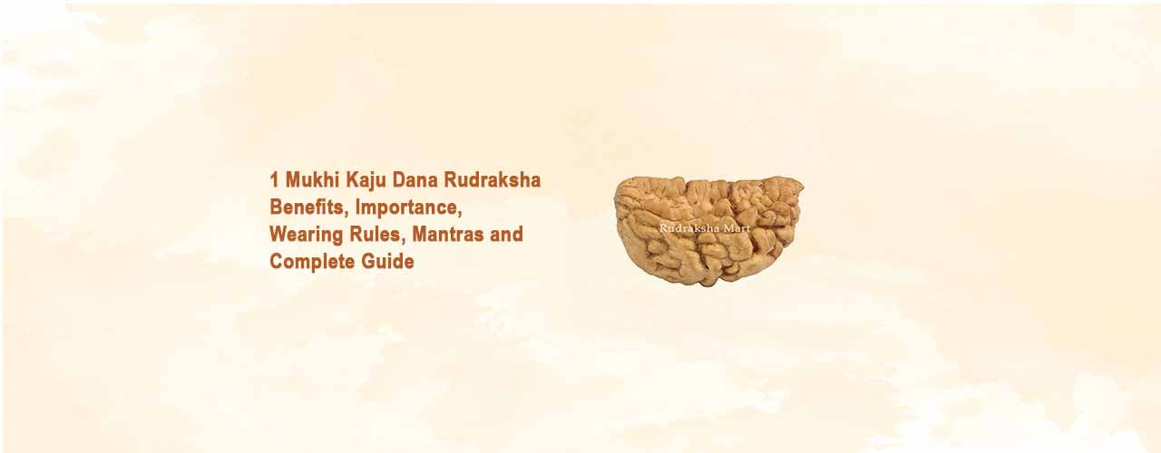 1 Mukhi Kaju Dana Rudraksha (South Indian Origin): Benefits, Importance, Wearing Rules, Mantras and Complete Guide