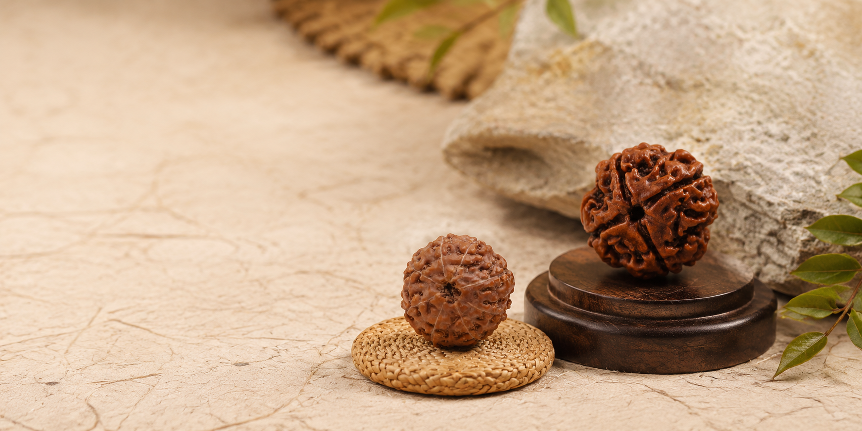 Nepali vs Java Rudraksha — Which to Buy?