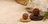 Nepali vs Java Rudraksha — Which to Buy?