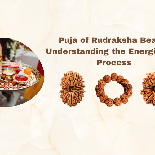 Puja of Rudraksha Beads Understanding the Energization Process