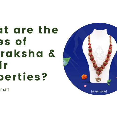 What are the types of Rudraksha & Their Properties