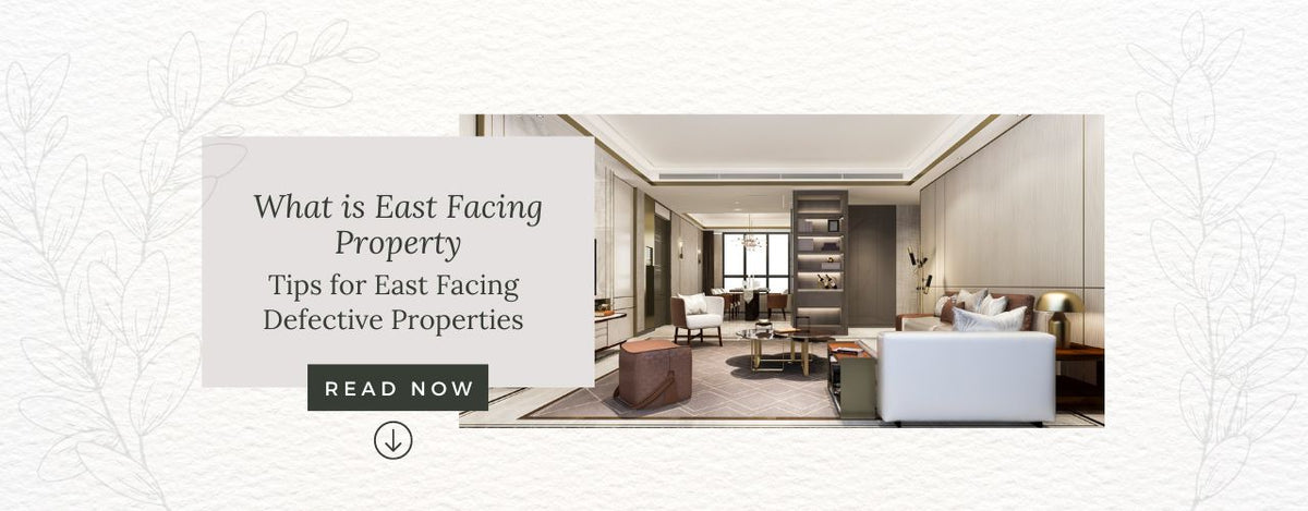 What is East Facing Property and Tips for East Facing Defective Properties
