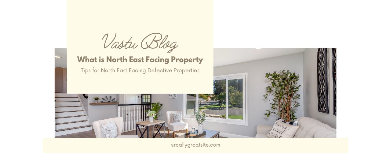 What is North East Facing Property