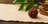 What is Rudraksha? A Beginner's Guide