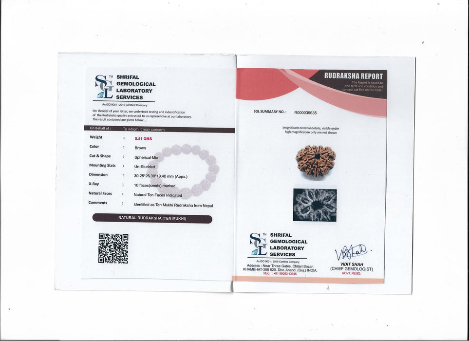 10 Mukhi Nepali Rudraksha Collector Bead with Lab Certificate and X-Ray Report, 30mm Size in India, US, UK, Australia, Europe