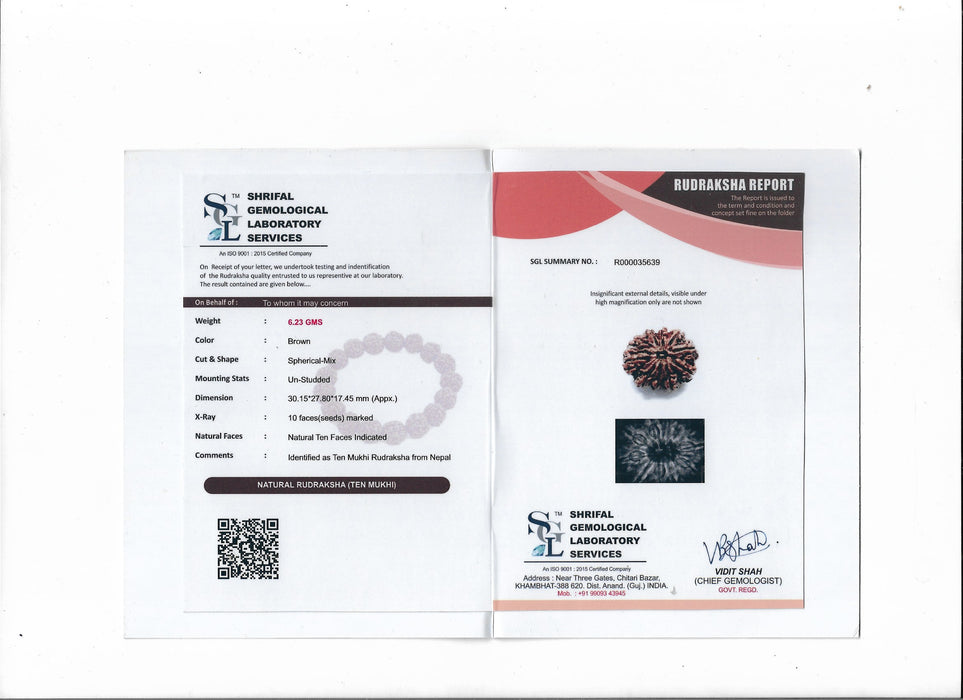 10 Mukhi Nepali Rudraksha Collector Bead with Lab Certificate and X-Ray Report, 30.15mm Size in India, US, UK, Australia, Europe