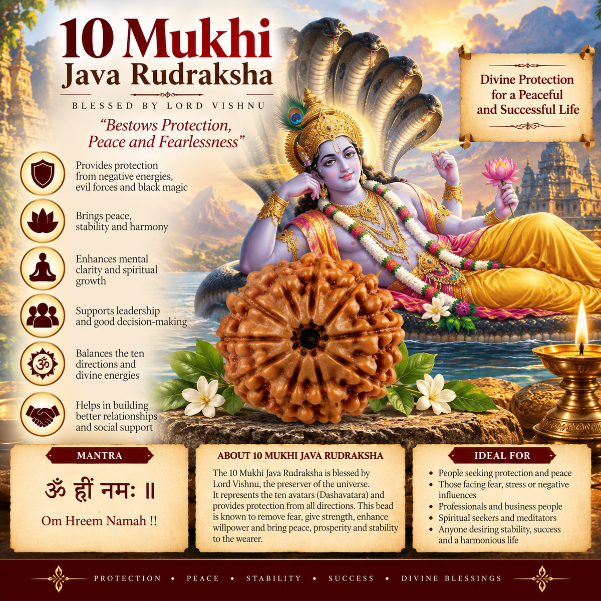 10 Mukhi Java Rudraksha in India, US, UK, Australia, Europe