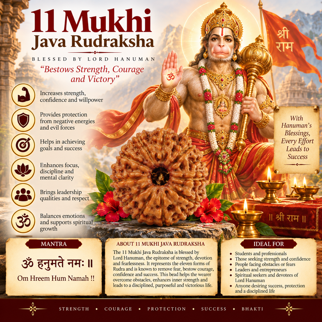 11 Mukhi Java Rudraksha in India, US, UK, Australia, Europe