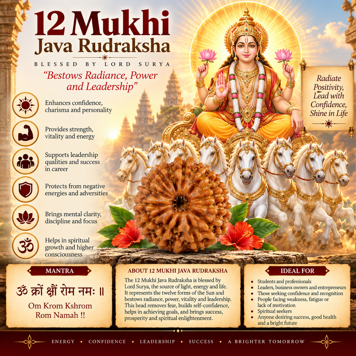 12 Mukhi Java Rudraksha in India, US, UK, Australia, Europe