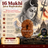 16 Mukhi Java Rudraksha in India, US, UK, Australia, Europe
