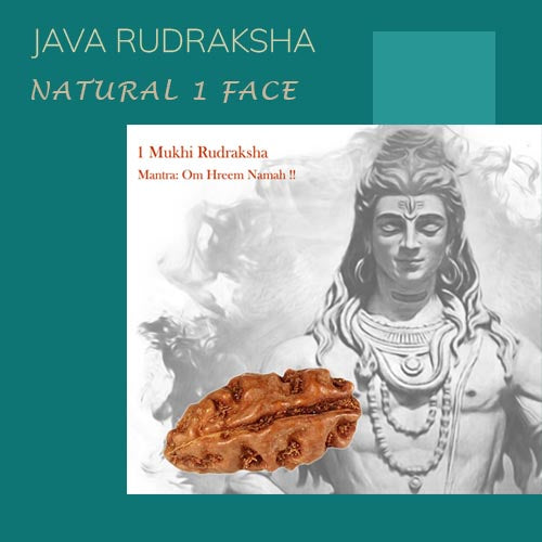 1 Face Natural Java Rudraksha Bead with Lab Certified