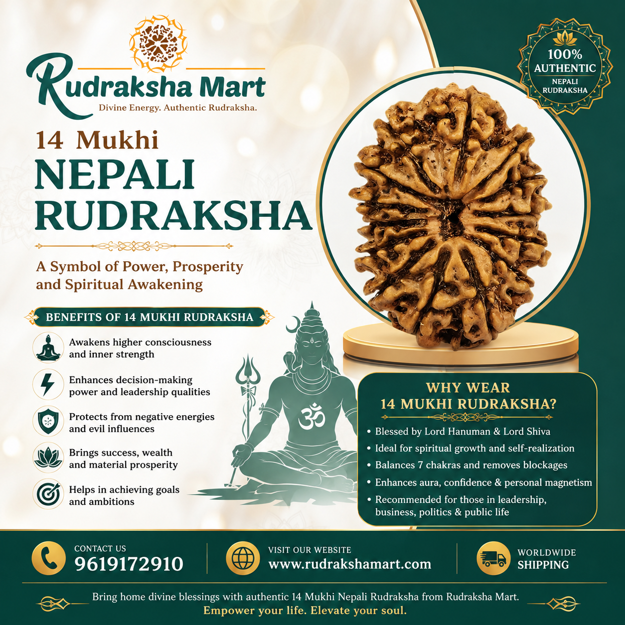 14 Mukhi Nepali Rudraksha in India, US, UK, Australia, Europe