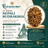 14 Mukhi Nepali Rudraksha in India, US, UK, Australia, Europe