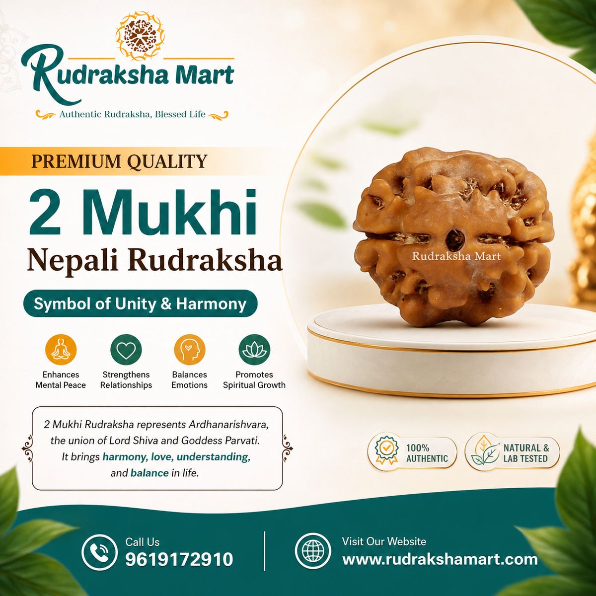 2 Mukhi Nepali Rudraksha with Lab Certified in India, US, UK, Australia, Europe