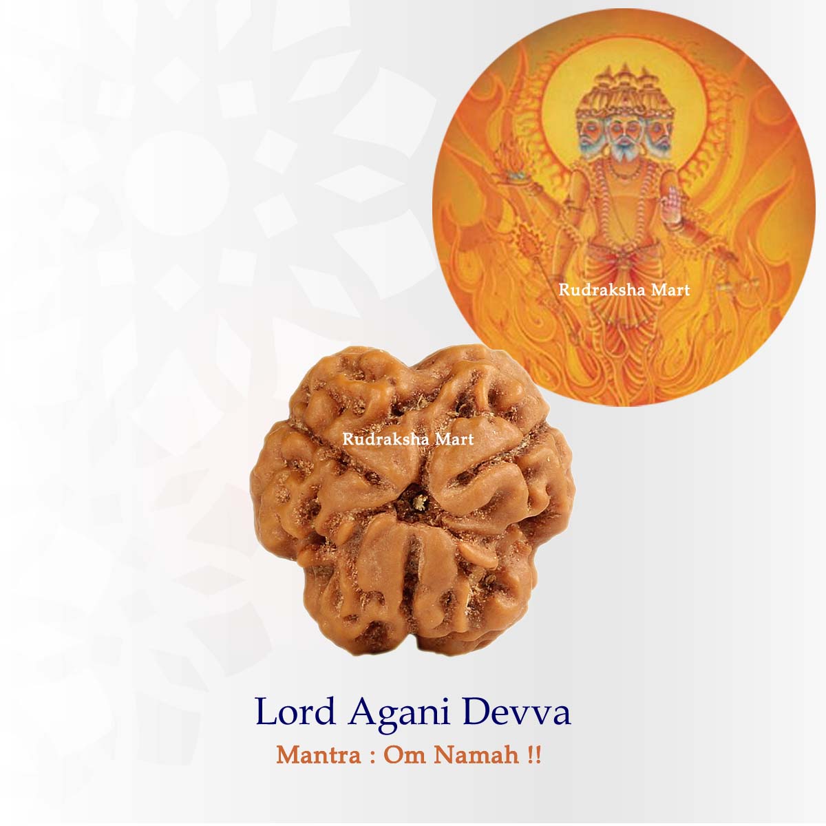 3 Mukhi Nepali Collector Rudraksha Bead in India, US, UK, Australia, Europe