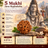 5 Mukhi Java Rudraksha in India, US, UK, Australia, Europe