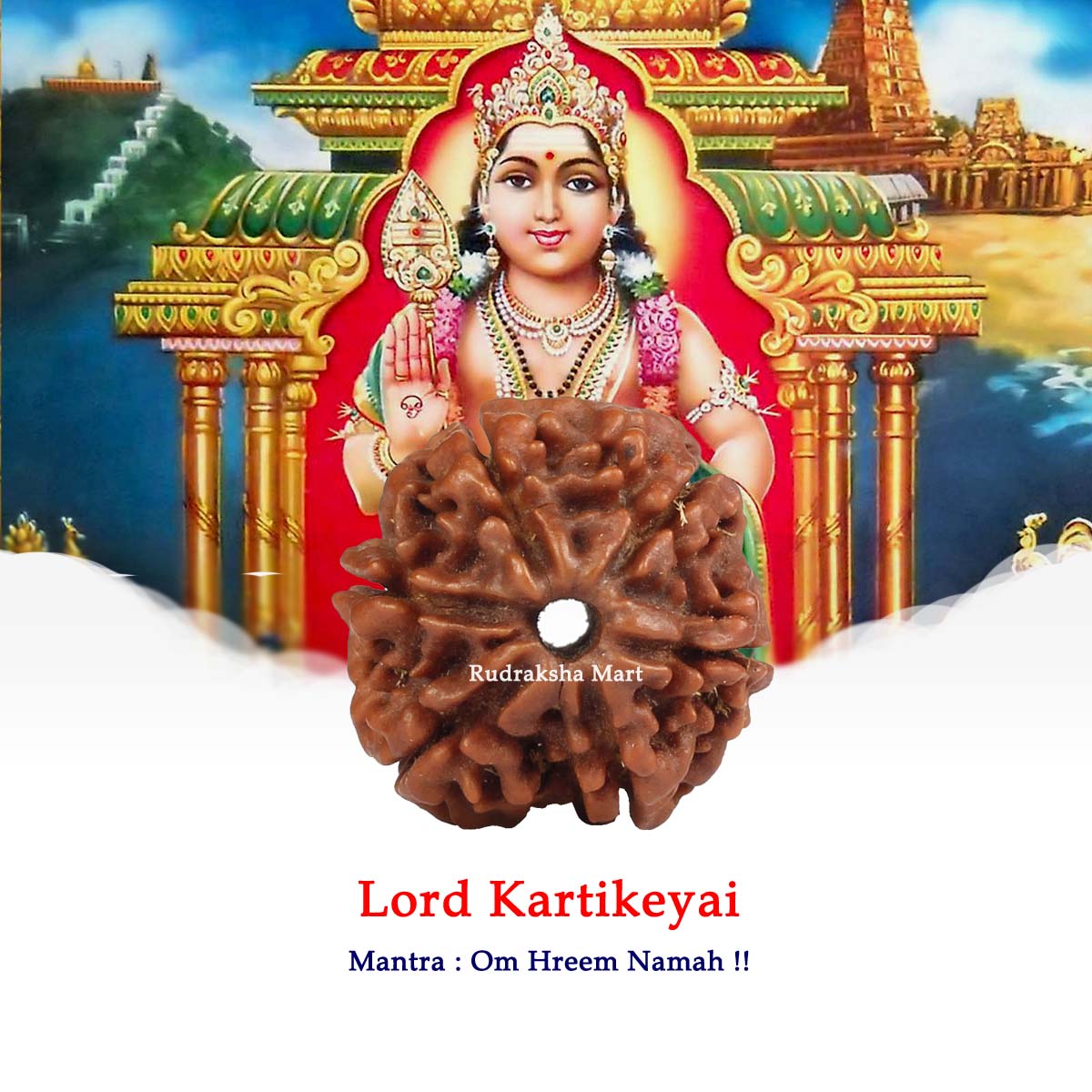 6 Mukhi Nepali Collector Rudraksha Bead in India, US, UK, Australia, Europe