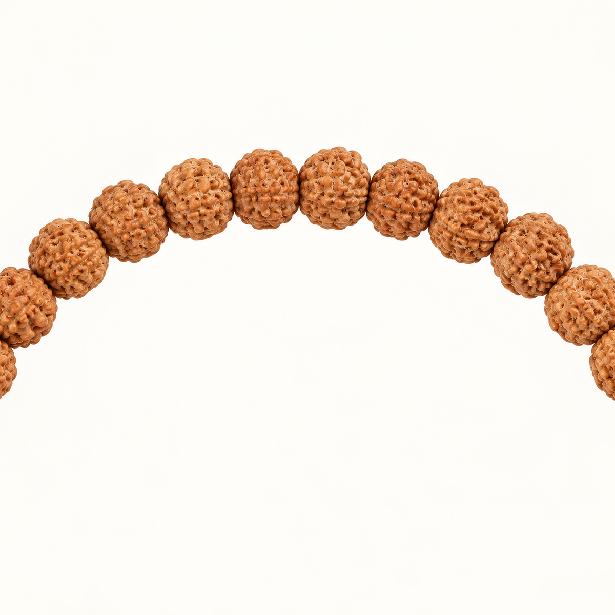 10 Mukhi Rudraksha Mala - 54 Bead in India, US, UK, Australia, Europe