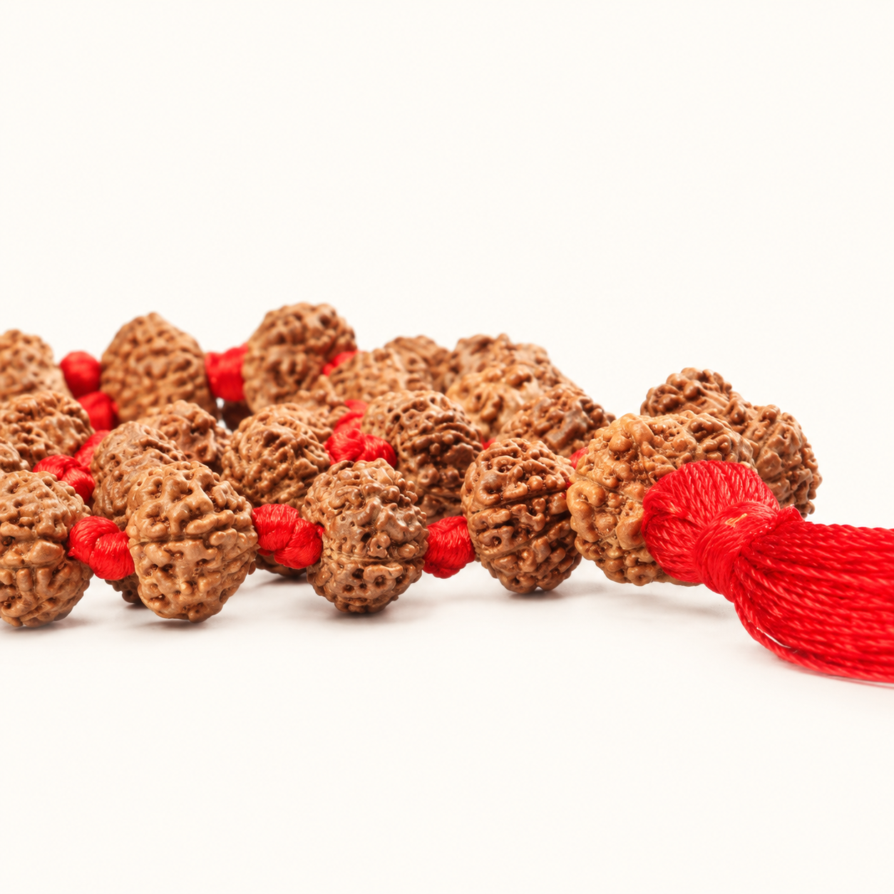 10 Mukhi Rudraksha Mala - 54 Bead inbetween Ganth in India, US, UK, Australia, Europe