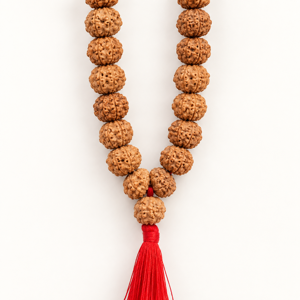 6 Mukhi Rudraksha Mala - 54 Bead in India, US, UK, Australia, Europe
