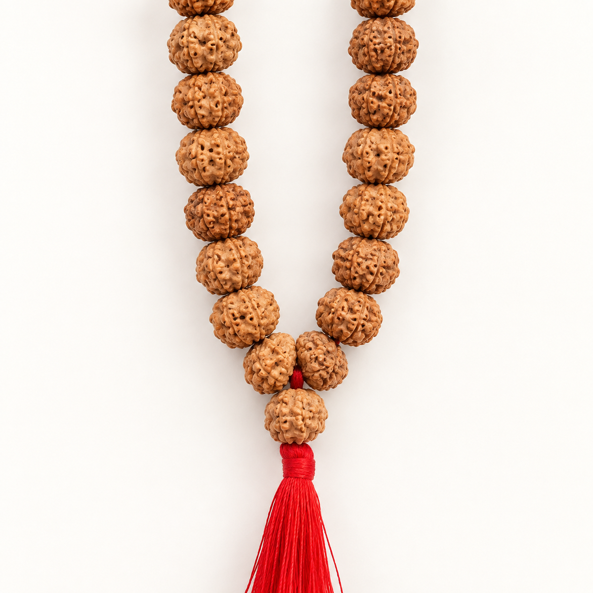 6 Mukhi Rudraksha Mala - 54 Bead in India, US, UK, Australia, Europe