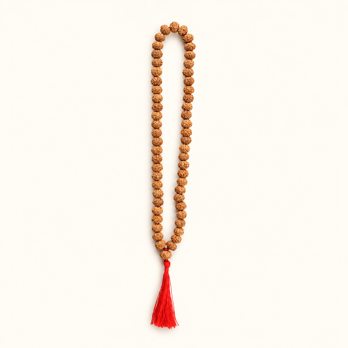 6 Mukhi Rudraksha Mala - 54 Bead in India, US, UK, Australia, Europe