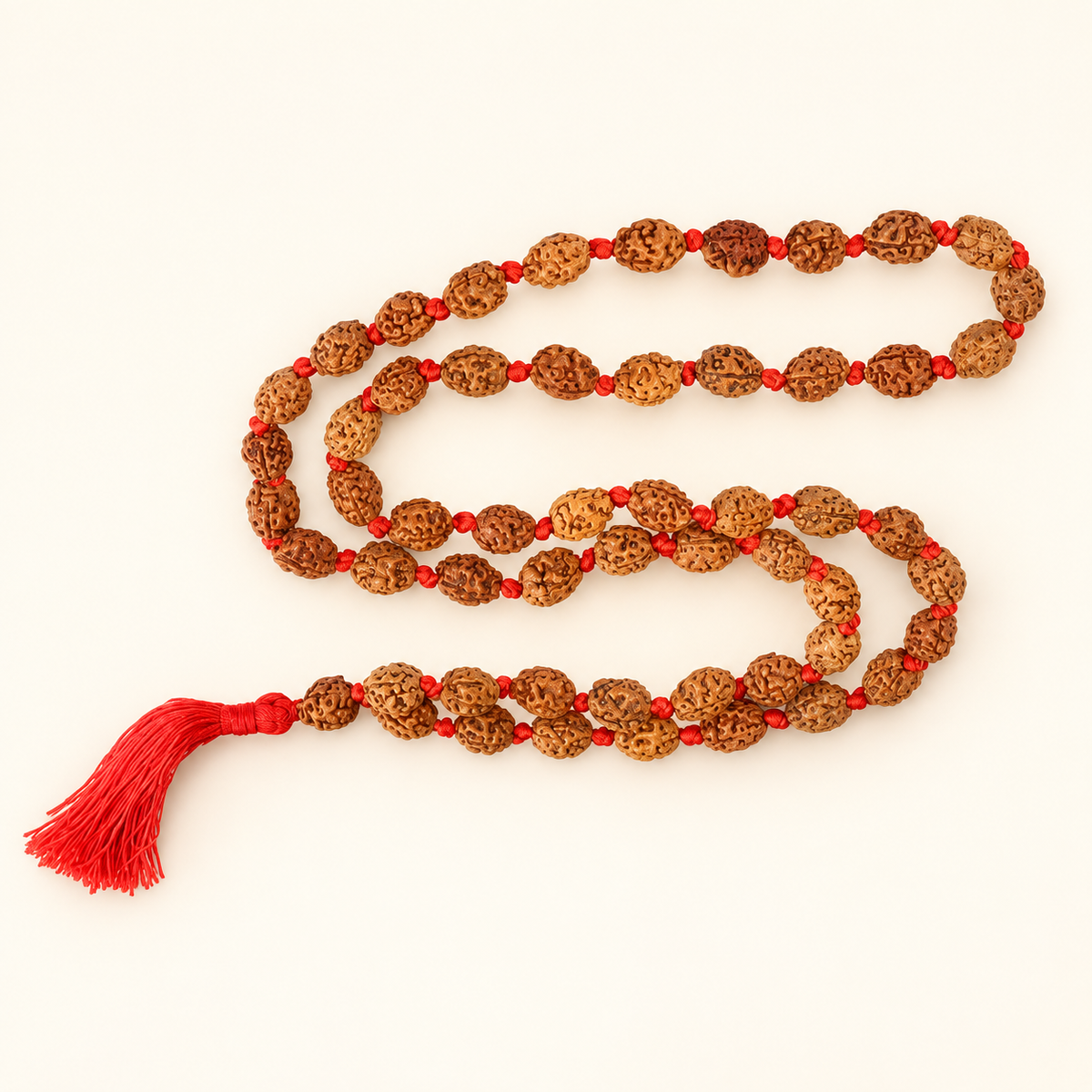 2 Mukhi Rudraksha Mala - 54 + 1 Bead inbetween Ganth in India, US, UK, Australia, Europe