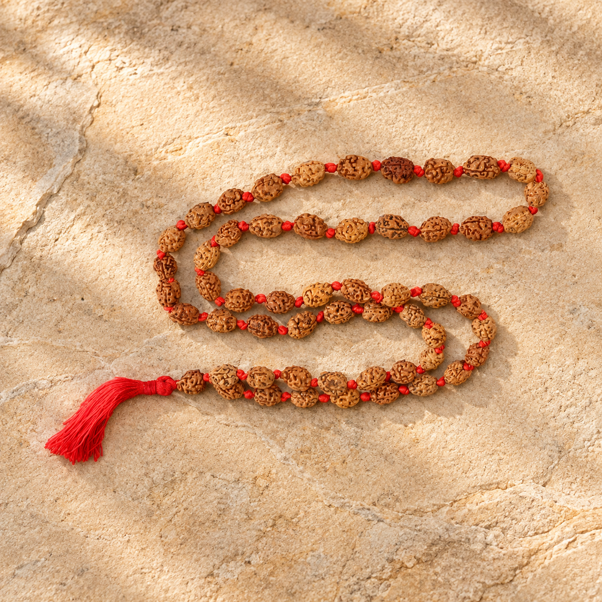 2 Mukhi Rudraksha Mala - 54 + 1 Bead inbetween Ganth in India, US, UK, Australia, Europe