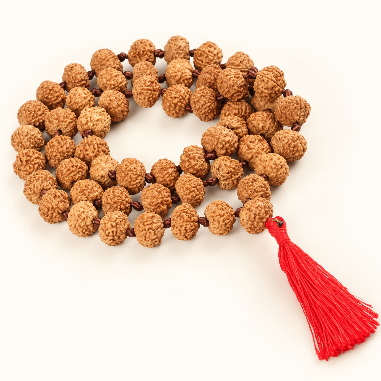 6 Mukhi Rudraksha Mala - 54 + 1 Bead inbetween Ganth in India, US, UK, Australia, Europe