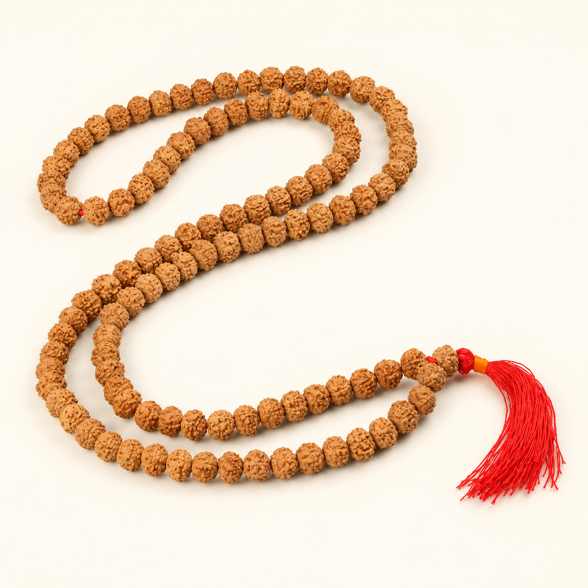 8 Mukhi Java Rudraksha Bead Mala - 108 Beads in India, US, UK, Australia, Europe