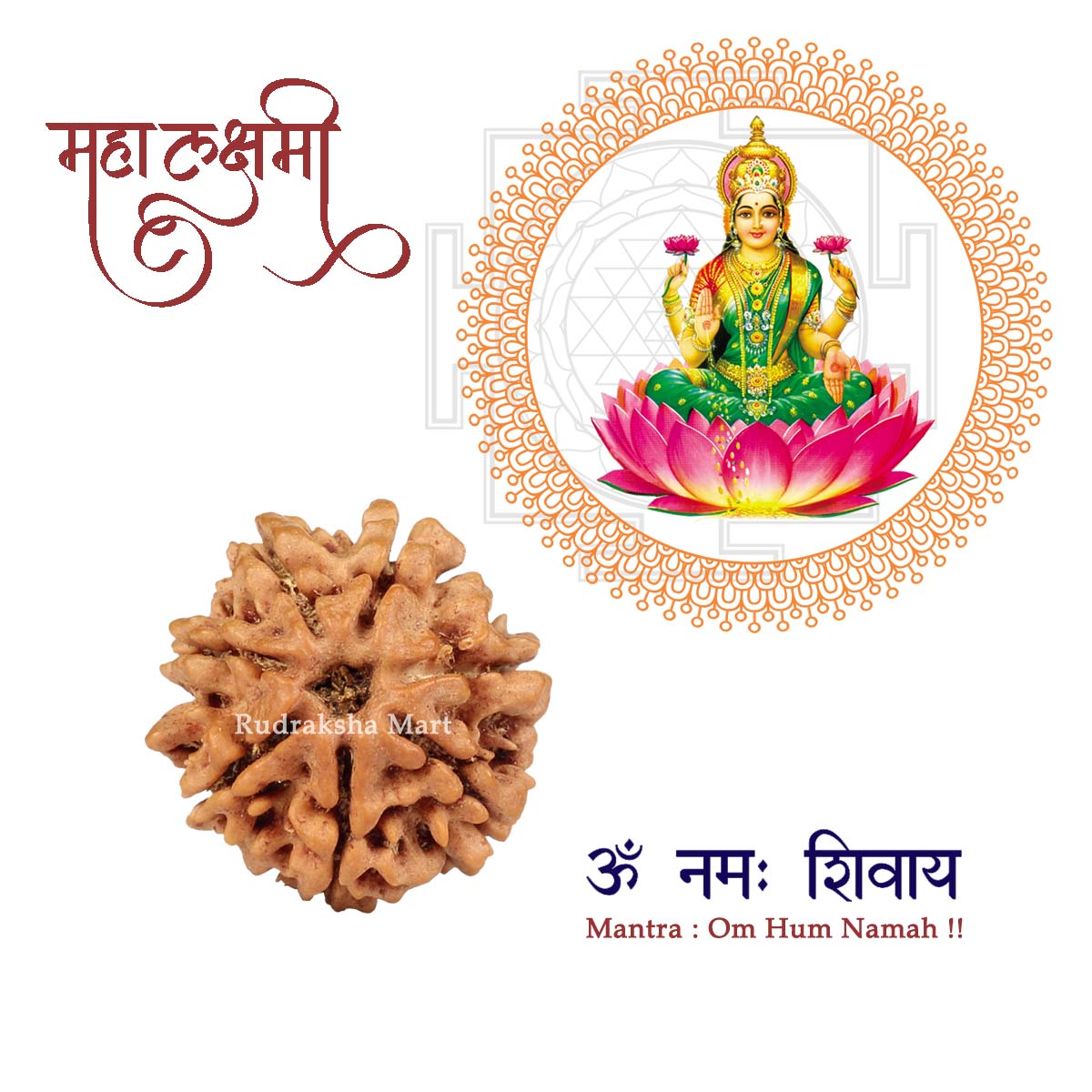 7 Mukhi Nepali Collector Rudraksha Bead in India, US, UK, Australia, Europe