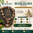 1-14 Nepali Rudraksha Collector Size Siddha Mala in Pure Silver in India, US, UK, Australia, Europe