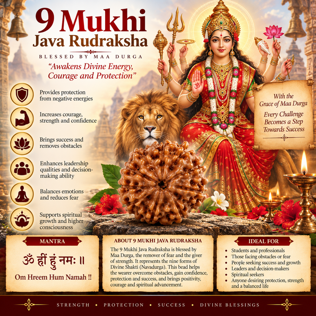 9 Mukhi Java Rudraksha in India, US, UK, Australia, Europe