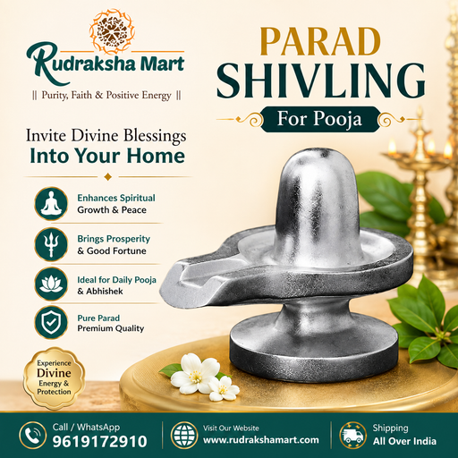 Parad (Mercury) Shivling - 1 in India, US, UK, Australia, Europe
