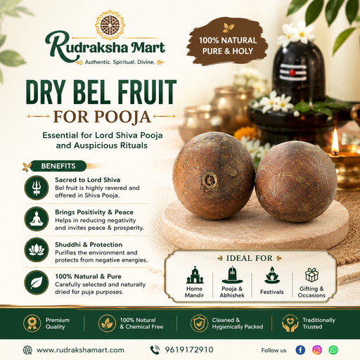Bael Fruit / Bel Fruit in India, US, UK, Australia, Europe